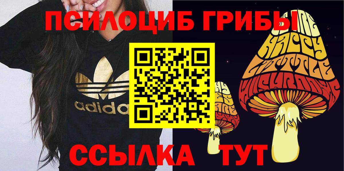 Спасск-Дальний  Псилоцибиновые грибы мицелий  Вход с VPN 